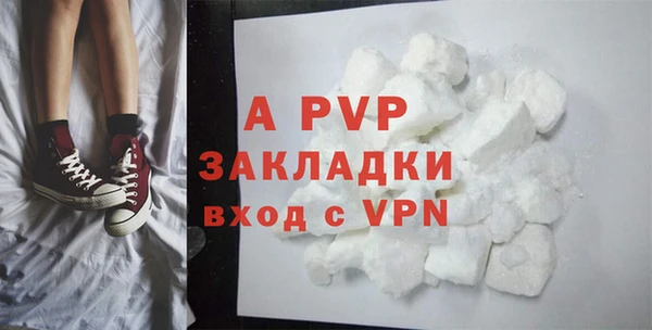 стафф Волоколамск