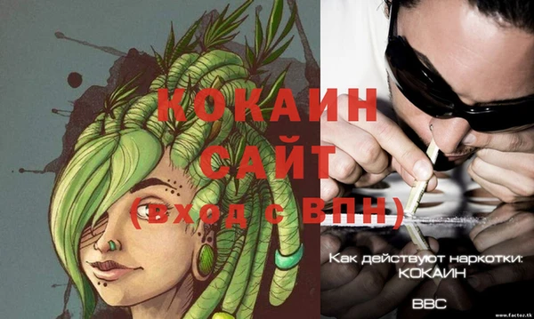 стафф Волоколамск