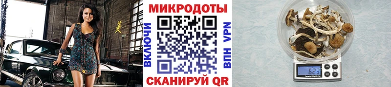 Галлюциногенные грибы прущие грибы  Пересвет 